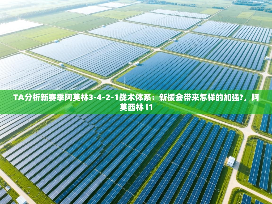 海星体育官网-TA分析新赛季阿莫林3-4-2-1战术体系：新援会带来怎样的加强?，阿莫西林 l1