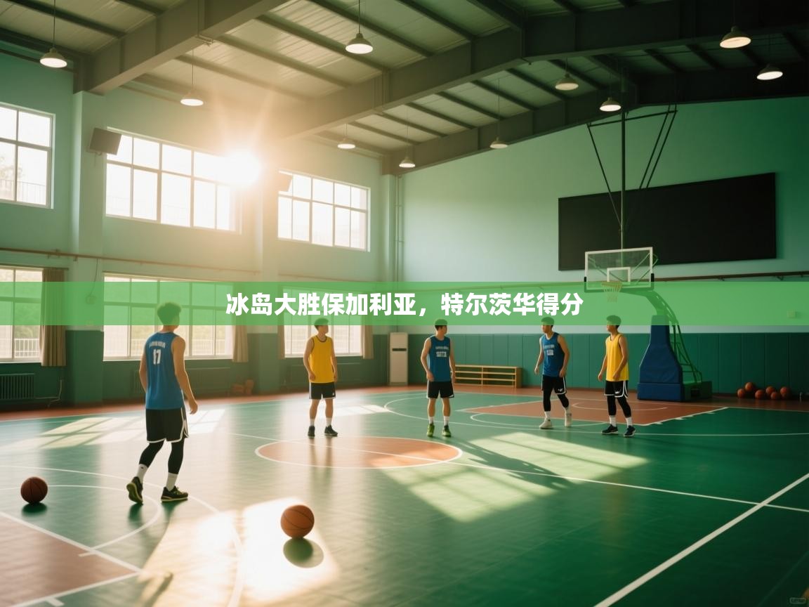 海星体育直播官网-冰岛大胜保加利亚，特尔茨华得分